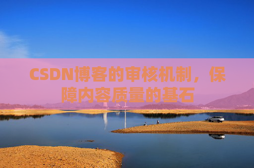 CSDN博客的审核机制,保障内容质量的基石